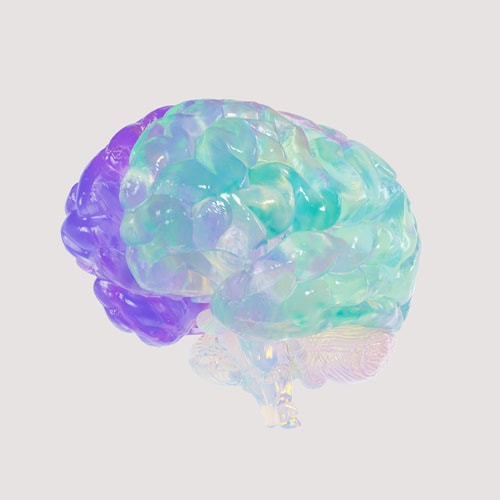 image of purple and blue see through brain to conceptualize the question does alcohol kill brain cells